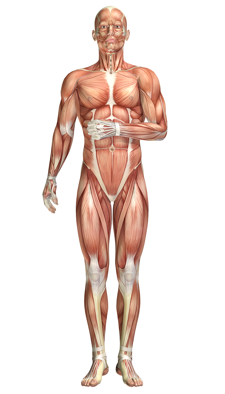 SKUTECZNOŚĆ STOSOWANIA WRAZ Z CHEMIOTERAPIĄ